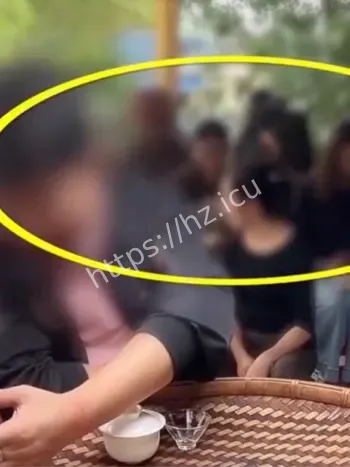 易经茶叶直播间
